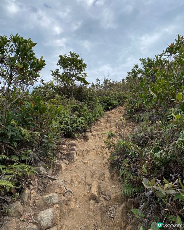 挑戰「香港三尖」入門嘅釣魚翁 - 新手攻略⛰️
