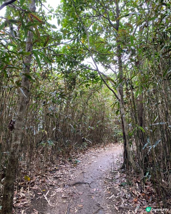 挑戰「香港三尖」入門嘅釣魚翁 - 新手攻略⛰️