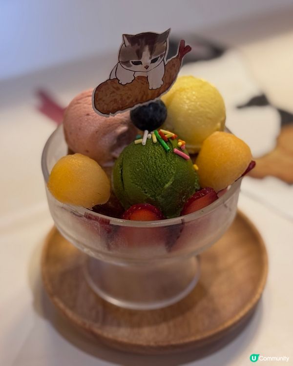 富山麵家🐱炸蝦貓期間限定店開張啦！🎉