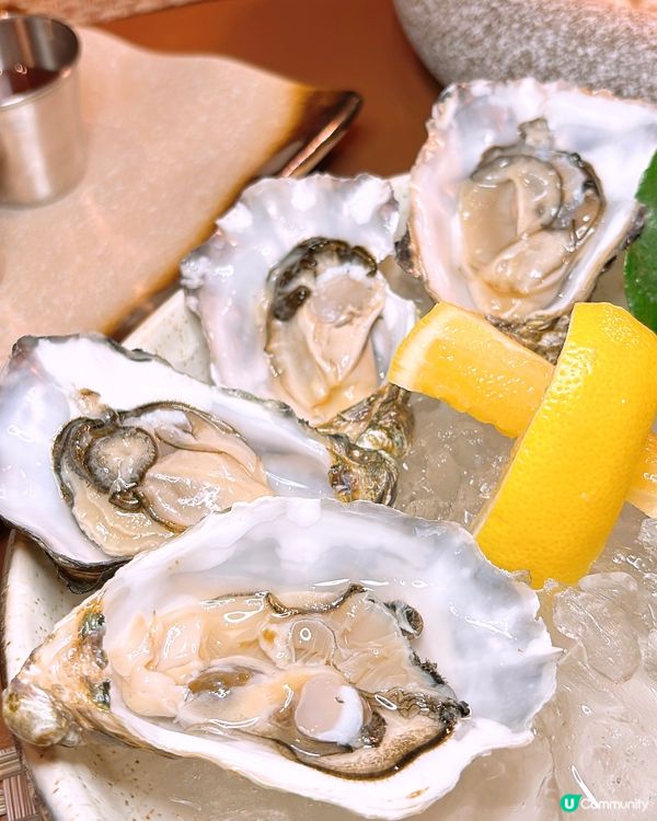 🎏北角五星級全海景酒店‼️90分鐘無限任食生蠔🦪