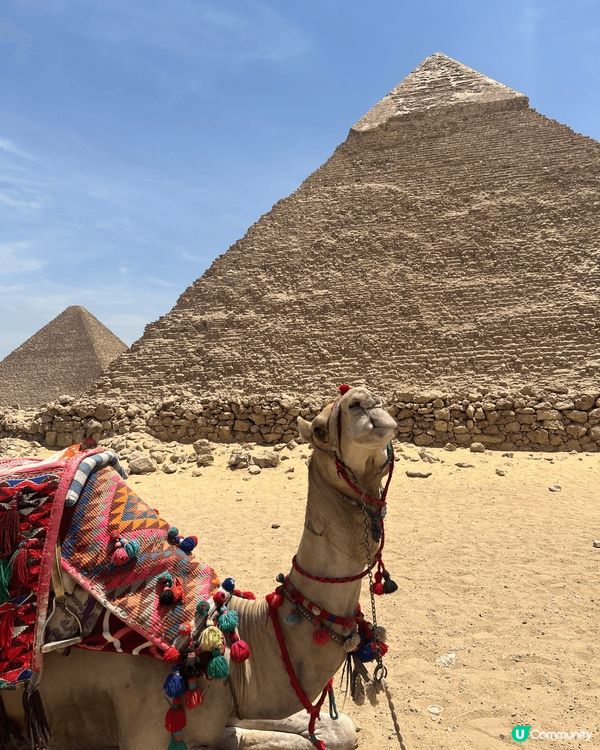 埃及旅行攻略分享 🇪🇬☀️