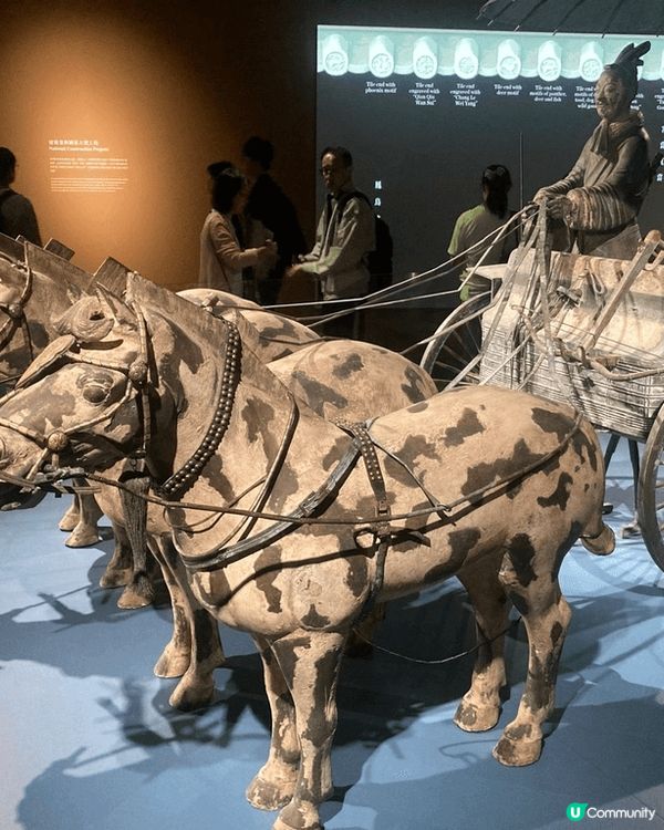非常值得看的展覽，看到真人高的兵馬俑，想像一下，它們於秦朝時...