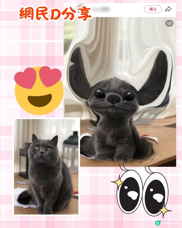 將寵物P圖成萌爆史迪仔❗ 網民分享失敗作超爆笑🔥附美圖秀秀/AI 修圖教學