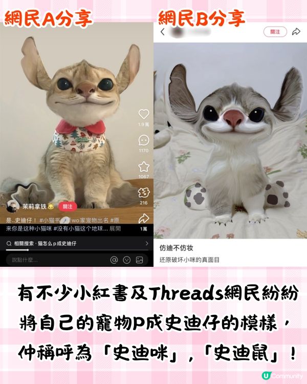 將寵物P圖成萌爆史迪仔❗ 網民分享失敗作超爆笑🔥附美圖秀秀/AI 修圖教學