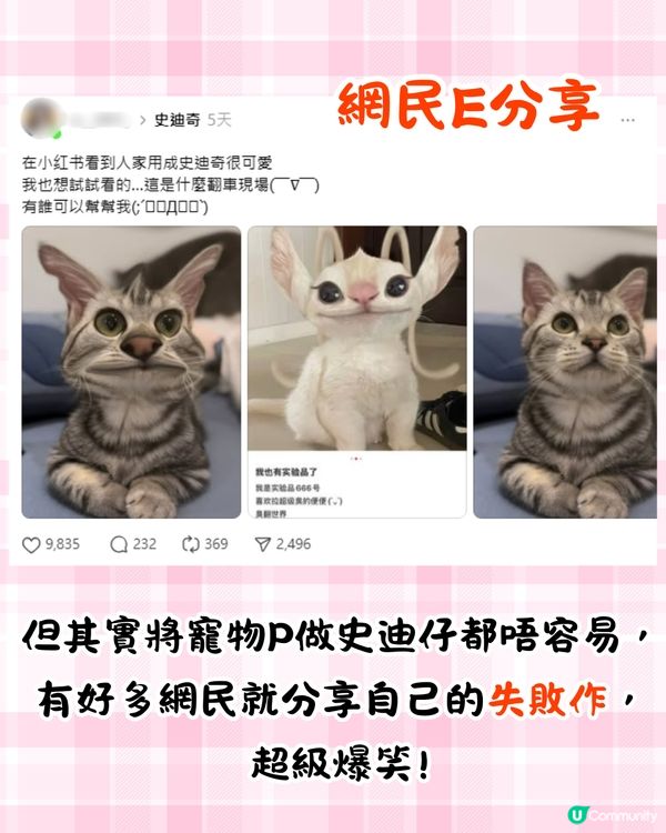 將寵物P圖成萌爆史迪仔❗ 網民分享失敗作超爆笑🔥附美圖秀秀/AI 修圖教學