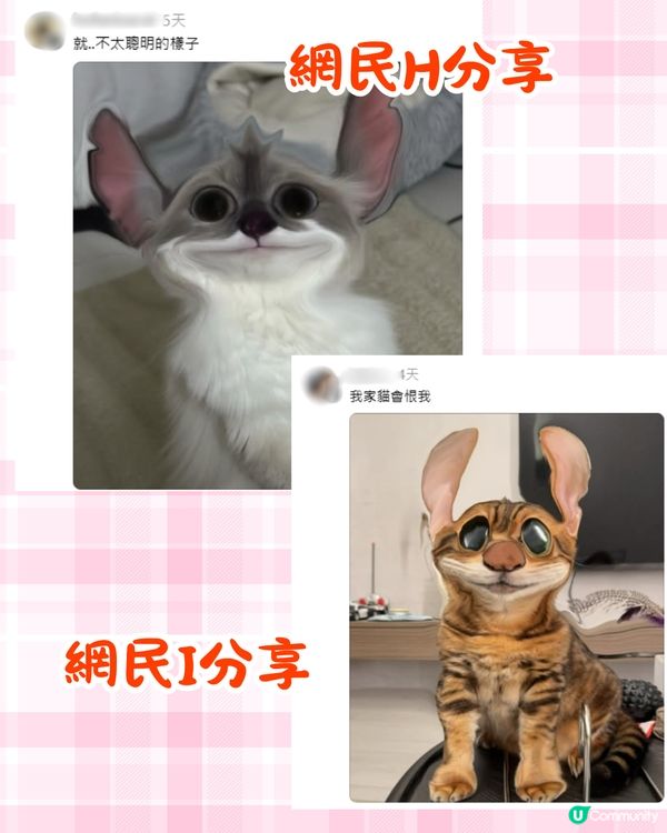 將寵物P圖成萌爆史迪仔❗ 網民分享失敗作超爆笑🔥附美圖秀秀/AI 修圖教學