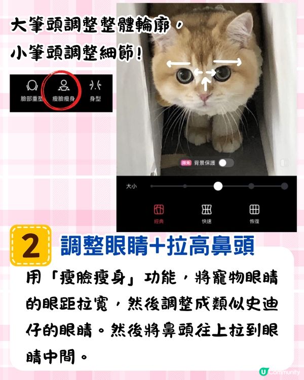 將寵物P圖成萌爆史迪仔❗ 網民分享失敗作超爆笑🔥附美圖秀秀/AI 修圖教學