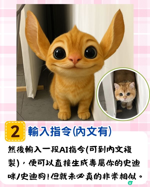 將寵物P圖成萌爆史迪仔❗ 網民分享失敗作超爆笑🔥附美圖秀秀/AI 修圖教學