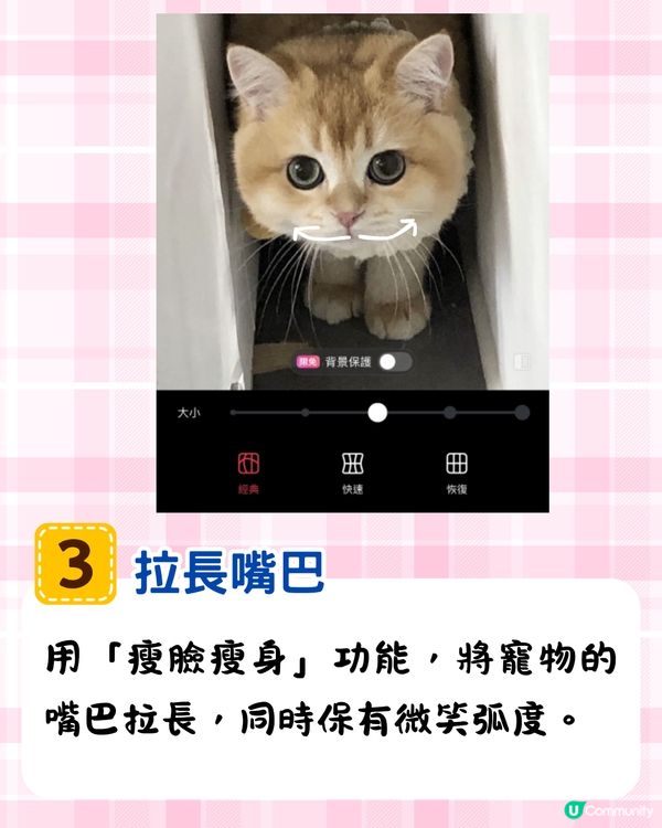 將寵物P圖成萌爆史迪仔❗ 網民分享失敗作超爆笑🔥附美圖秀秀/AI 修圖教學