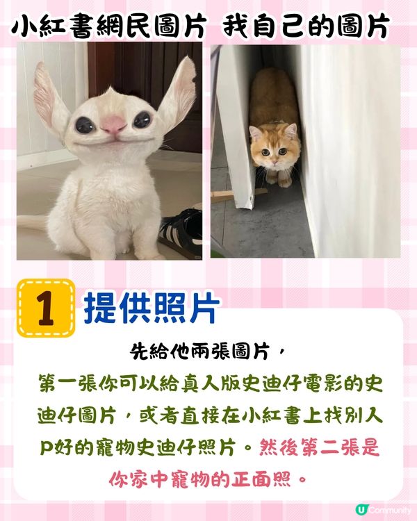 將寵物P圖成萌爆史迪仔❗ 網民分享失敗作超爆笑🔥附美圖秀秀/AI 修圖教學