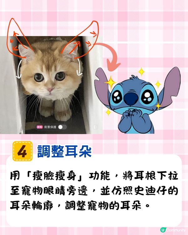 將寵物P圖成萌爆史迪仔❗ 網民分享失敗作超爆笑🔥附美圖秀秀/AI 修圖教學