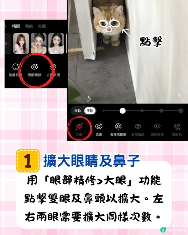 將寵物P圖成萌爆史迪仔❗ 網民分享失敗作超爆笑🔥附美圖秀秀/AI 修圖教學