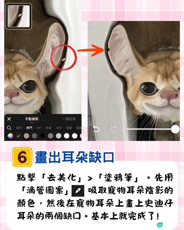 將寵物P圖成萌爆史迪仔❗ 網民分享失敗作超爆笑🔥附美圖秀秀/AI 修圖教學
