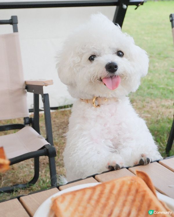 體驗露營之日營 跑大草地加野炊