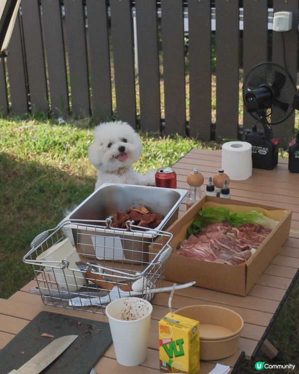 體驗露營之日營 跑大草地加野炊