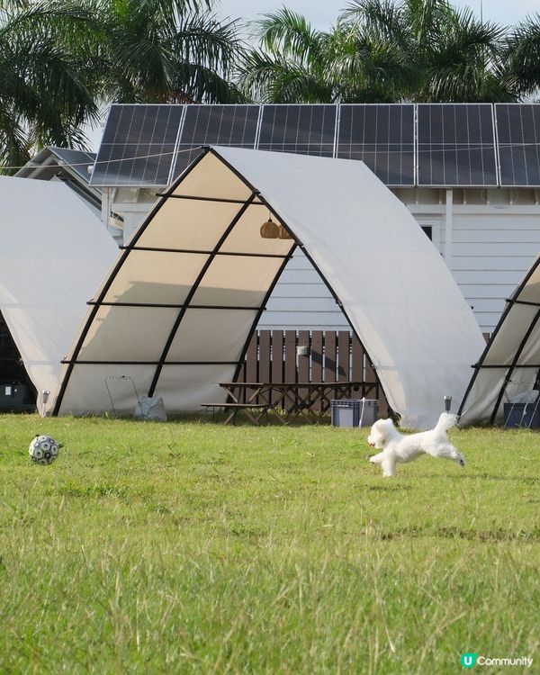 體驗露營之日營 跑大草地加野炊