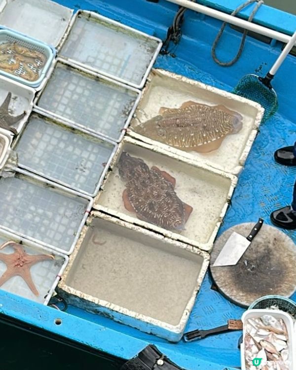 🦐🦑《西貢·抵食新鮮海鮮船》🦑🦀