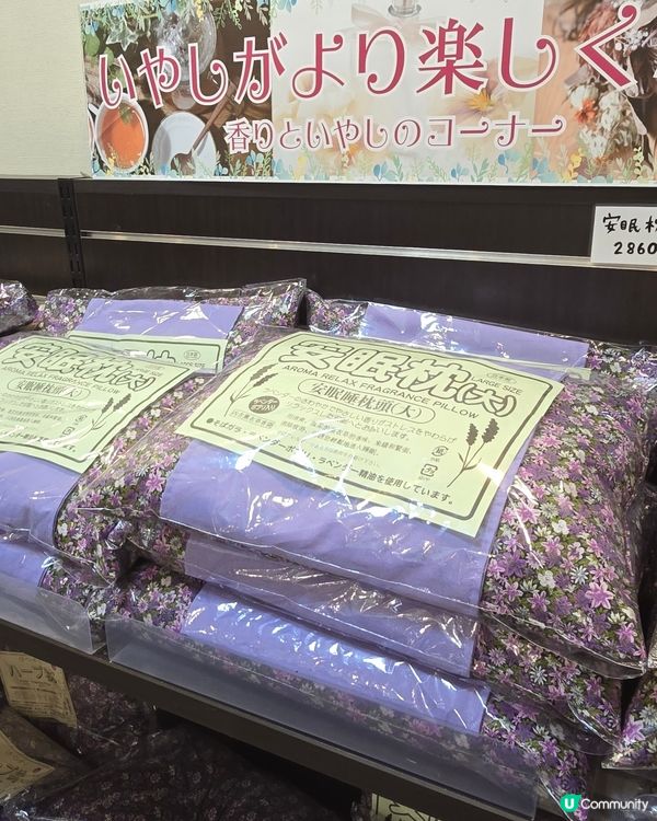 2025年富士河口湖手信推介🎁