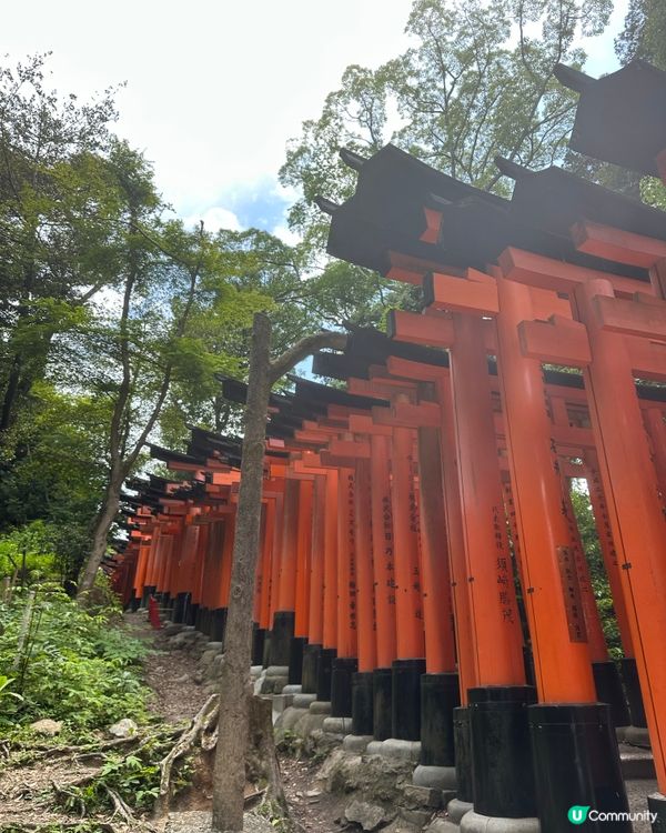 京都必去稲荷神社同清水寺☺️ 