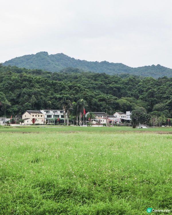香港｜香港世外桃源隱世大草原西貢深涌 🍃