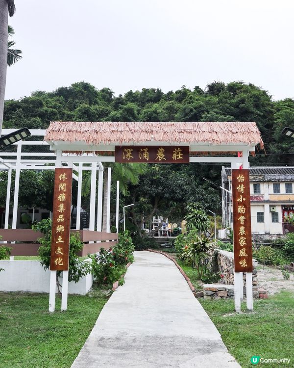 香港｜香港世外桃源隱世大草原西貢深涌 🍃