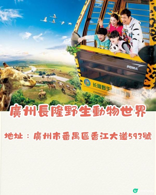 廣州長隆野生動物世界1日遊玩| 5大必玩路線推介| 打卡網紅奶爸x黑蜘蛛猴/俯瞰長頸鹿/熊貓餐廳‼️附票價資訊