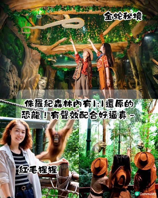 廣州長隆野生動物世界1日遊玩| 5大必玩路線推介| 打卡網紅奶爸x黑蜘蛛猴/俯瞰長頸鹿/熊貓餐廳‼️附票價資訊