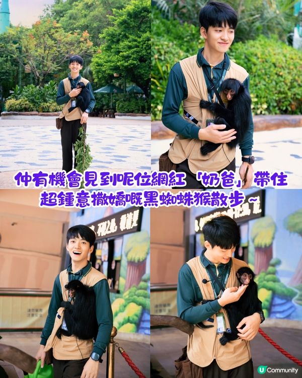 廣州長隆野生動物世界1日遊玩| 5大必玩路線推介| 打卡網紅奶爸x黑蜘蛛猴/俯瞰長頸鹿/熊貓餐廳‼️附票價資訊