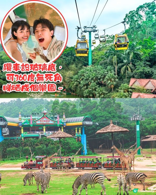 廣州長隆野生動物世界1日遊玩| 5大必玩路線推介| 打卡網紅奶爸x黑蜘蛛猴/俯瞰長頸鹿/熊貓餐廳‼️附票價資訊