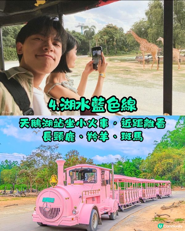 廣州長隆野生動物世界1日遊玩| 5大必玩路線推介| 打卡網紅奶爸x黑蜘蛛猴/俯瞰長頸鹿/熊貓餐廳‼️附票價資訊