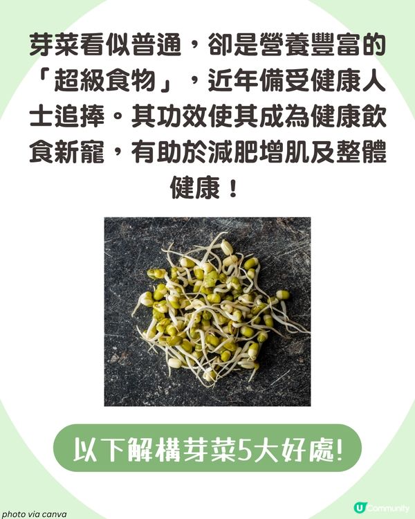 日本大熱芽菜減肥法！附男神木村拓哉燒肉芽菜沙律食譜🥬