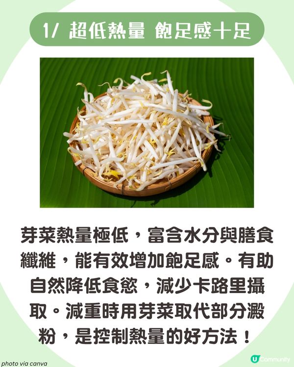 日本大熱芽菜減肥法！附男神木村拓哉燒肉芽菜沙律食譜🥬