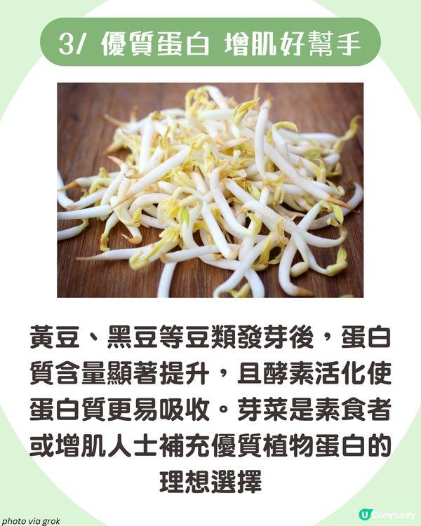 日本大熱芽菜減肥法！附男神木村拓哉燒肉芽菜沙律食譜🥬