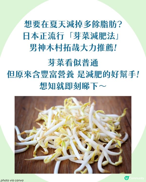 日本大熱芽菜減肥法！附男神木村拓哉燒肉芽菜沙律食譜🥬