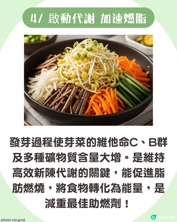 日本大熱芽菜減肥法！附男神木村拓哉燒肉芽菜沙律食譜🥬