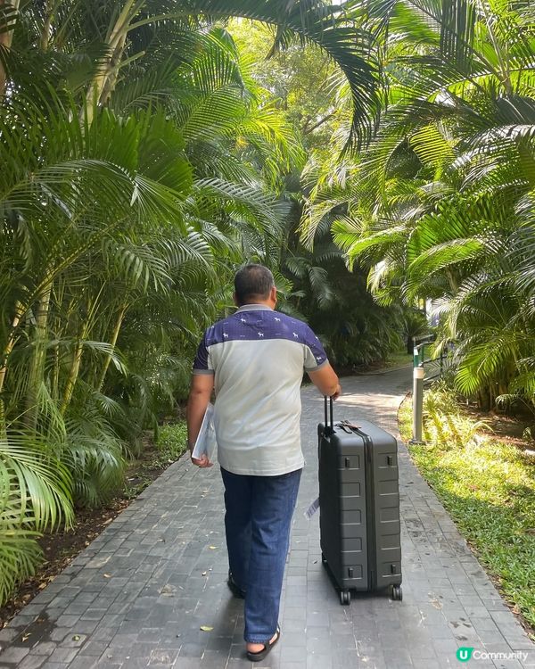 峴港機場接送✨初體驗