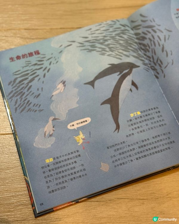 豆豆哥哥暖男力爆發！💖陪妹妹睇《生命的搖籃海洋》📚