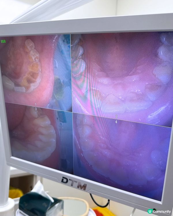 深圳一日遊，食玩買樣樣齊！🤩