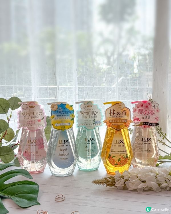 LUX Luminique 為你打造炎夏日系清雅 