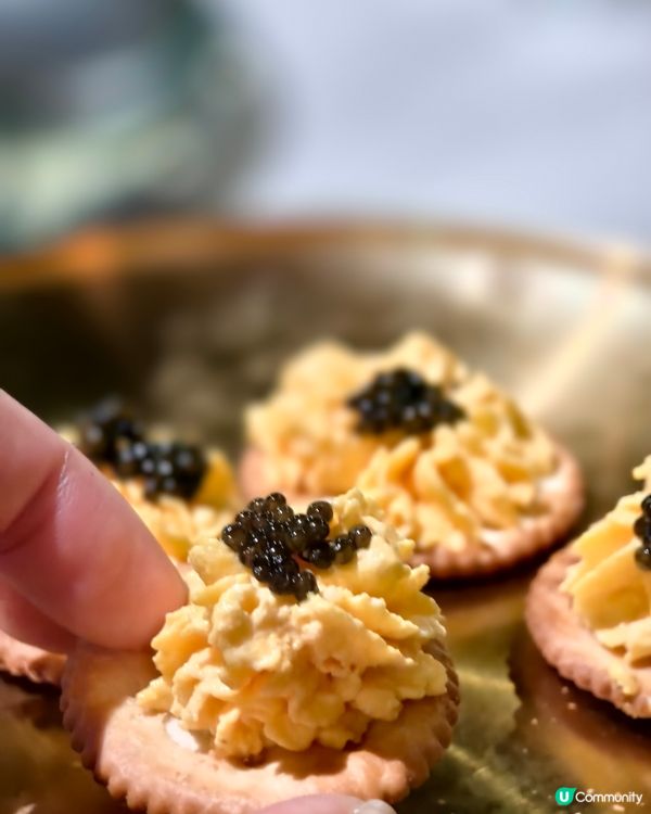 Live band 與魚子醬和牛他他盛宴