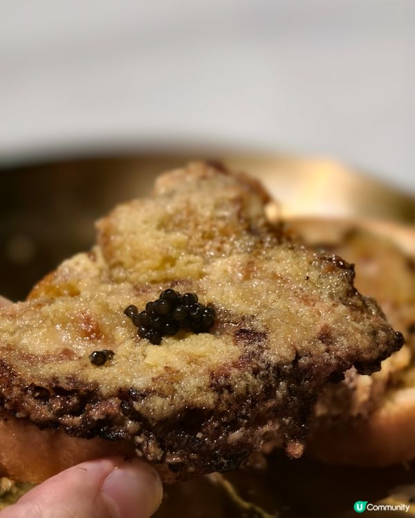 Live band 與魚子醬和牛他他盛宴