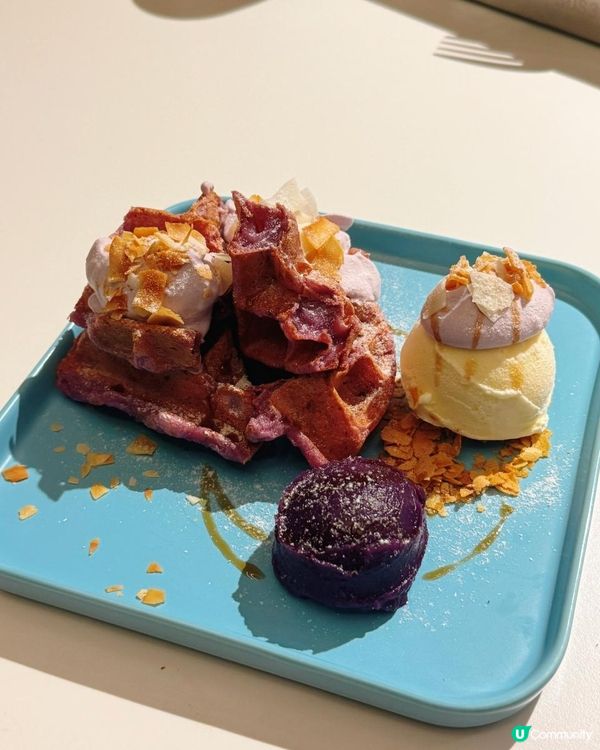 📌 啟德│GoNuts│啟德美食好選擇！