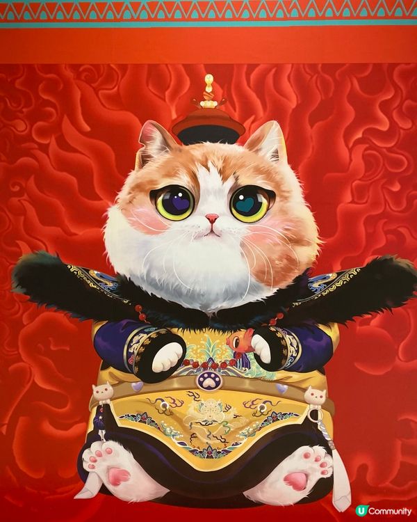 玩味生活🐦‍🔥🦔可以再發掘一下生活趣味