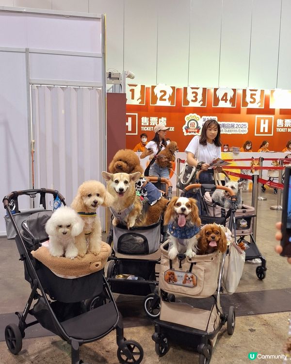 🐶🐱🐹 優質寵物用品展2025 開鑼啦！🎉