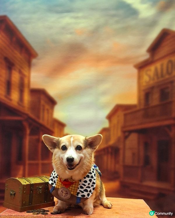 🐶🐱🐹 優質寵物用品展2025 開鑼啦！🎉