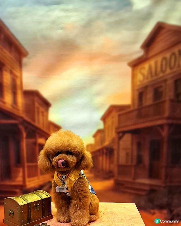 🐶🐱🐹 優質寵物用品展2025 開鑼啦！🎉