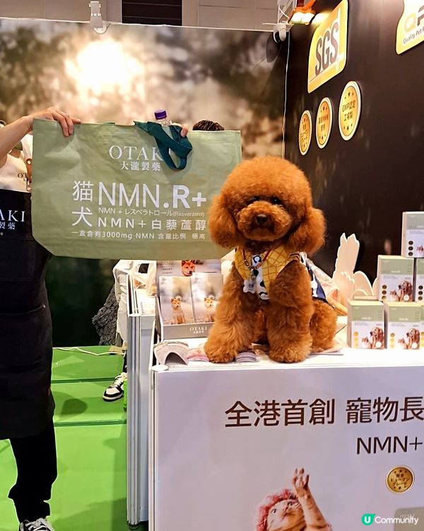 🐶🐱🐹 優質寵物用品展2025 開鑼啦！🎉