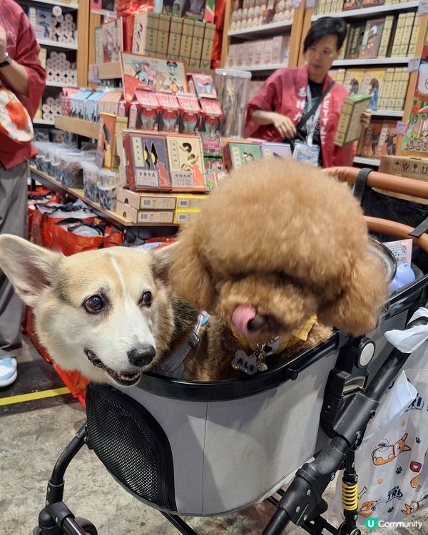 🐶🐱🐹 優質寵物用品展2025 開鑼啦！🎉