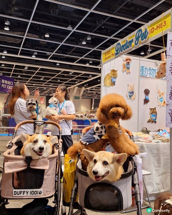 🐶🐱🐹 優質寵物用品展2025 開鑼啦！🎉