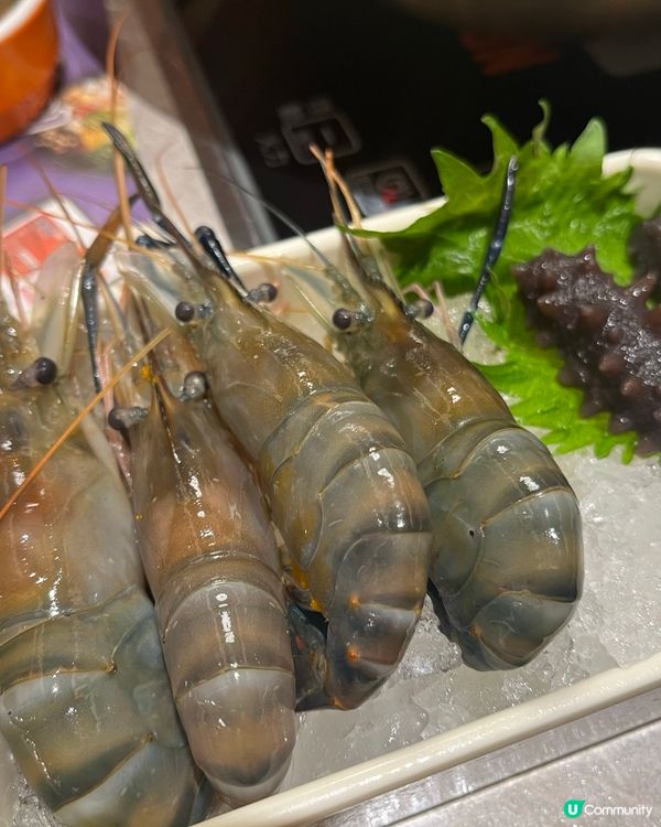 旺角🔥牛駅麻辣火鍋放題！高質食材任食🤤